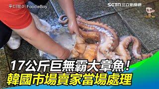 17公斤巨無霸大章魚怎麼吃？　韓國市場賣家現場處理｜三立新聞網SETN.com