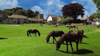 Beautiful Villages in England Countryside where Wild Ponies Roam freely