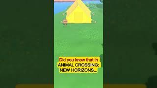 Did you know that in ANIMAL CROSSING: NEW HORIZONS