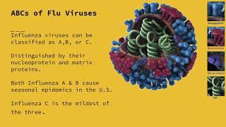 Influenza (The Flu)