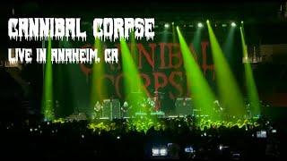 CANNIBAL CORPSE - LIVE IN ANAHEIM, CA - 05/25/24 (FULL SET)
