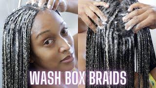 Washing My Box Braids | Protective Styles