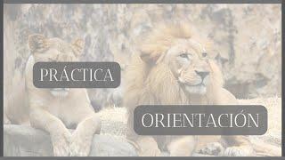 PRÁCTICA: ORIENTACIÓN