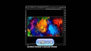 Красим ступеньки в Фотошопе  #photoshop