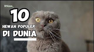 10 HEWAN POPULER DI DUNIA !