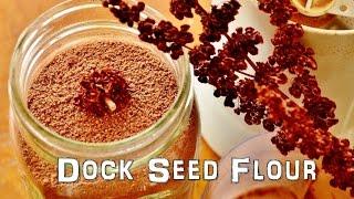 (The Northwest Forager) Ep. 14 Dock Seed Flour
