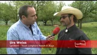 Ab ufs Land - Texas Longhorn Ranch Buus - regioTVplus