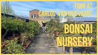 Tour at Carlos van der Vaart Bonsai nursery