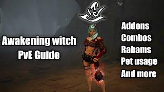 BDO | 2023 Awakening Witch PvE guide | Combos, Addons, Rabams, Pets