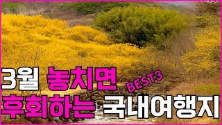 3월 여행지추천 가볼만한 국내여행 l spring in korea travel