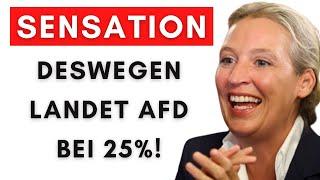 Briefwahl 2025 kaum möglich – AfD profitiert massiv!