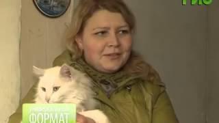 О приюте Хати (Универсальный формат, 09.12.2014)