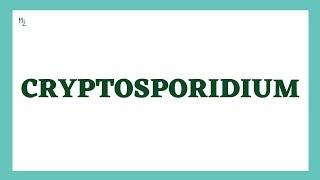 Cryptosporidium | Morphology, Life Cycle, Cryptosporidiosis, lab Diagnosis, Treatment | MedZukhruf