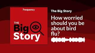 How worried should you be about bird flu? | The Big Story