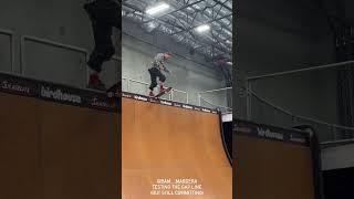 Bam reunites with Tony Hawk