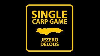 Single Carp Game 2024