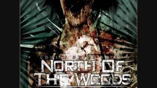 NORTH OF THE WOODS - Stabbed With A Spoon