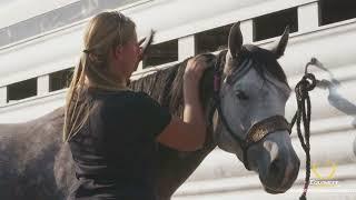 Equinety Barn Check | Brandt Performance Horses