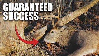 How to Always Have Great Deer Hunting