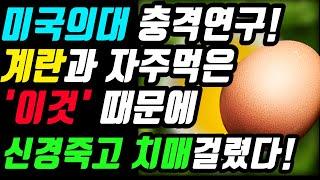 계란 달걀 먹을 때 절대로 '이것'과 함께 먹지마세요! 신경이 죽고 치매에 걸립니다!