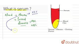 What is serum ?