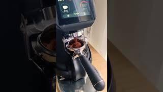 Best coffee grinder ever#evogrinder#coffeegagets#caffeine