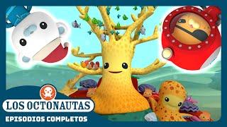 Los Octonautas -  El fabuloso rescate navideño ️ | Temporada 1 | Episodios Completos