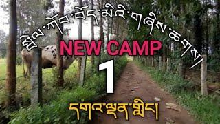 #bylakuppe new camp 1  tibetan settlement  Tibetan village  དགའ་ལྡན ་གྱིང་ #Rural gandeling