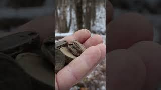 КЛАД ИЛИ КОШЕЛЁК МОНЕТ ИМПЕРИИ!!! КОП,КОП С МЕТАЛЛОИСКАТЕЛЕМ,ПРИБОРНЫЙ ПОИСК,SHORTS.