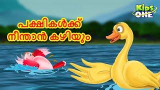 പക്ഷികൾക്ക് നീന്താൻ കഴിയും | Malayalam Fairy Tales | Malayalam Cartoon | Stories in Malayalam