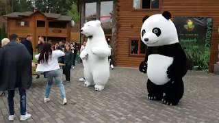 Panda and Polar Bear Private Party.