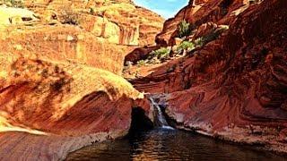 Red Cliffs Desert Spring Preserve - Hike with water, canyons, indian grounds and dinosaur tracks