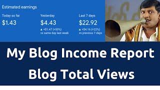 Google AdSense Income Report | How I Earn Money via Blog Traffic & Views explained | Tamil