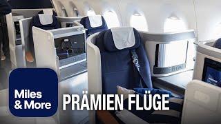 Wie finde ich Verfügbarkeit auf Prämienflügen | Lufthansa Miles & More Meilen (Sweet-Spots)