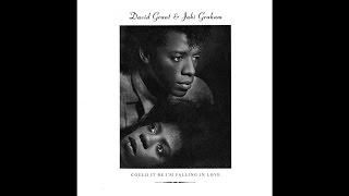 David Grant & Jaki Graham - Could It Be I'm Falling In Love