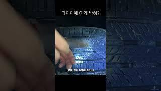니가 왜 타이어에서 나와? 정체가 궁금