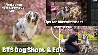 Dog Photography: BTS Blossom Shoot, NEW Photoshop AI Remove Tool, How-to shoot and edit!