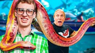 Fish Nerd vs 100 Reptiles!