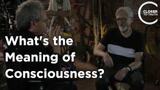 Ned Block - What's the Meaning of Consciousness?