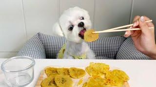 Potato Pancakes and Rice Wine on a Rainy Day! ASMR Puppy Mukbang