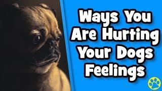 5 Ways You Are Hurting Your Dog's Feelings Without Knowing