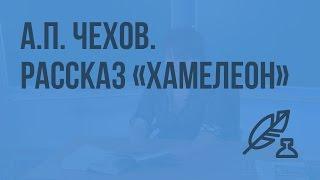 А.П. Чехов. Рассказ "Хамелеон". Хамелеонство как социальное явление. Видеоурок по литературе 7 класс