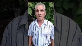 Слово в мир !