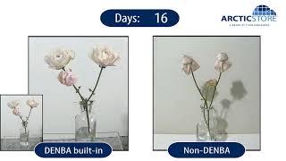 DENBA Built-in Vs. Non-DENBA Comparison With Cut Flowers | Arcticstore Cold Storage Solutions.