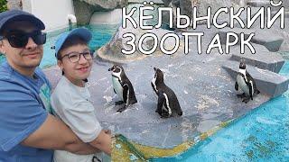 VLOG из ГЕРМАНИИ: ЗООПАРК в КЁЛЬНЕ/ ПОДАРОК со ШКОЛЫ/ ХОТЬ кто-то ПОНРАВИЛСЯ ДАВИДУ/ ВЫХОДНОЙ