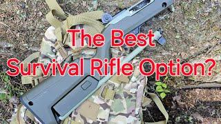 Ruger 10/22 Backpacker: In Field Review!!