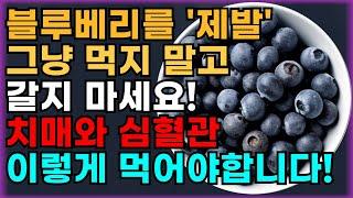 블루베리 절대 그냥 드시지 마세요! 위장 다 망가집니다! 블루베리 효능과 가장 건강하게 먹는 방법도 확인하세요!!