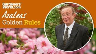 Caring for azaleas | Golden Rules