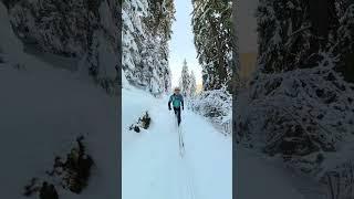 SKIMO    #alps #ski #skimo #outdoor