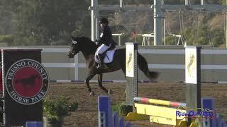 228S Kate Flaherty on Eli's Coming Intro Show Jumping FCHP Oct. 2019